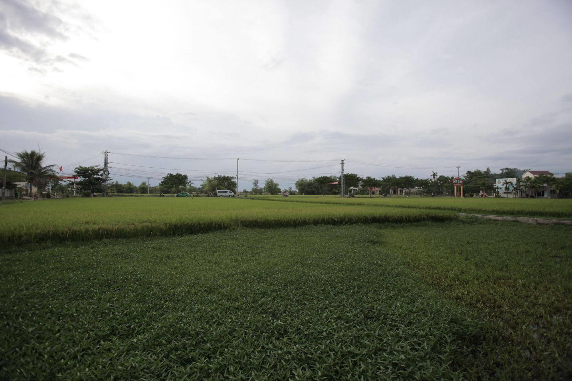 Rice Flower Homestay Hoi An Exterior photo