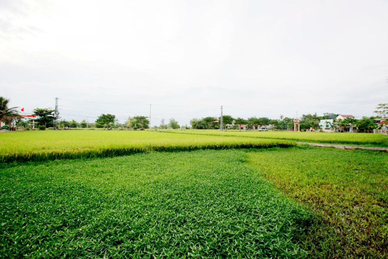 Rice Flower Homestay Hoi An Exterior photo
